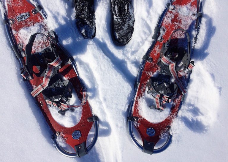Boundary Metis Community Association Wraps Up Snowshoe Program