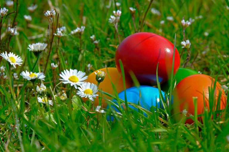7th annual easter egg hunt returns to City Park