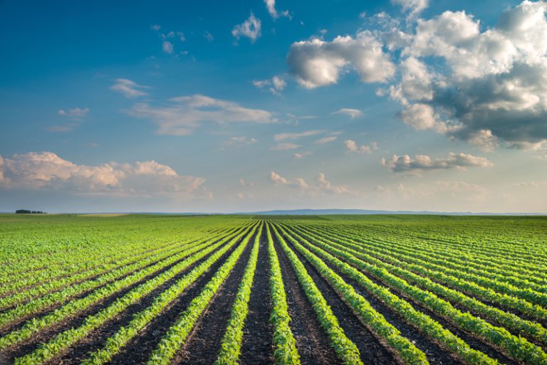 Farmers and researchers explore climate change adaption