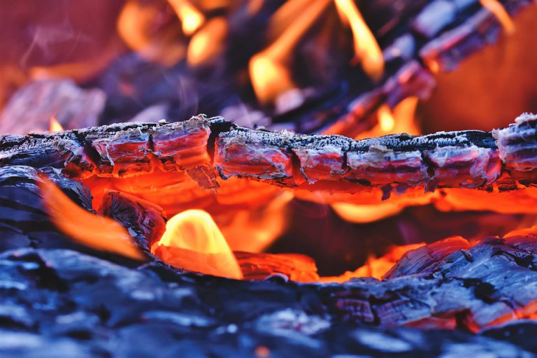 Tree on power lines causes bush fire in Greenwood