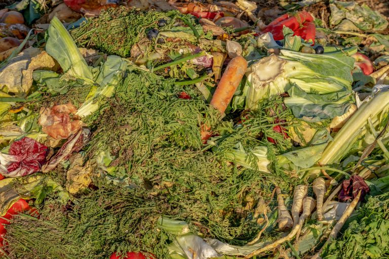 Cross-regional composting partnership kicks off in 2021