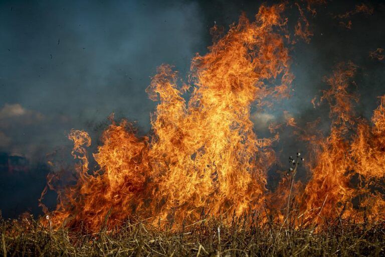 Wildfire season not over in the Kootenay Boundary
