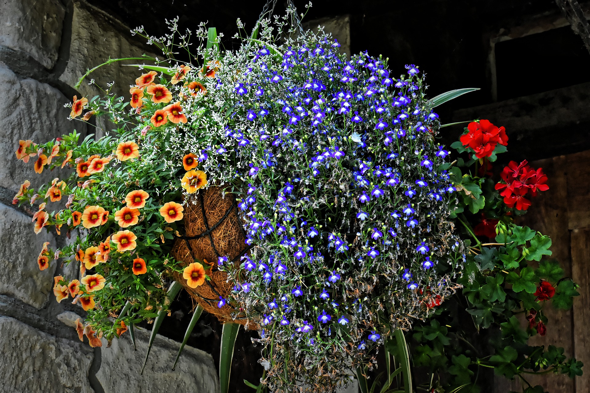 Hanging basket of flowers