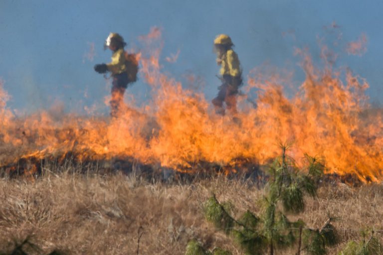 Australian firefighters touch down in B.C.