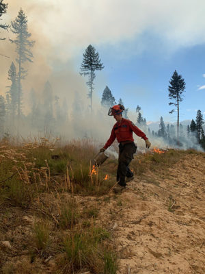 Wildfire burning between Castlegar and Trail