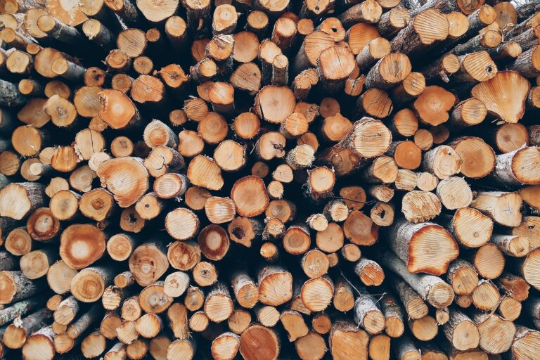 Interfor unsurprised with Boundary timber reduction