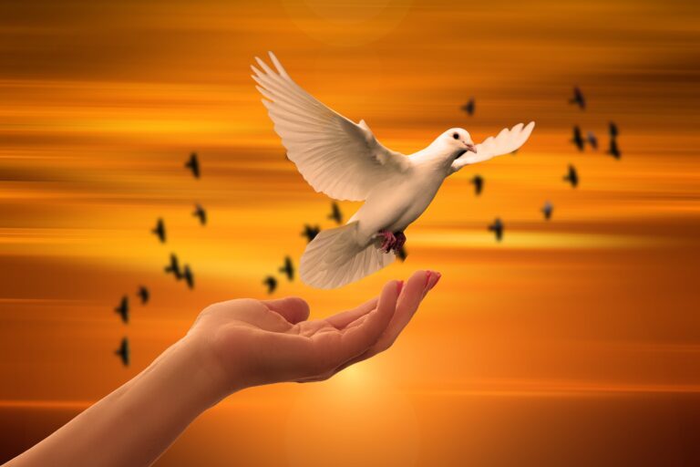 Grand Forks to host peace conference