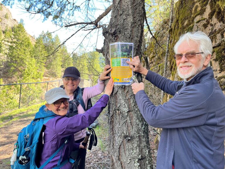 Hiking challenge issued for Boundary trails