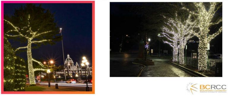 Tree lighting upgrade project planned for Market Avenue
