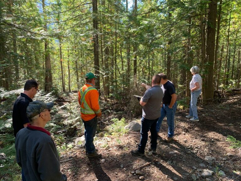 Wildfire project reduces risk at Jewel Lake