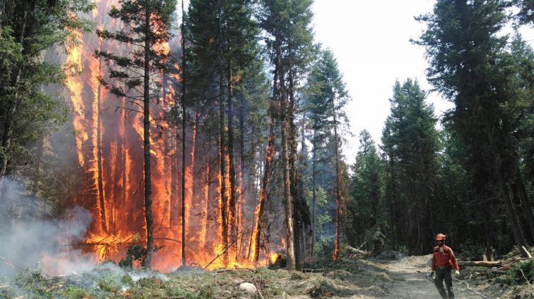 Province urging preparedness and caution as fire season ramps up