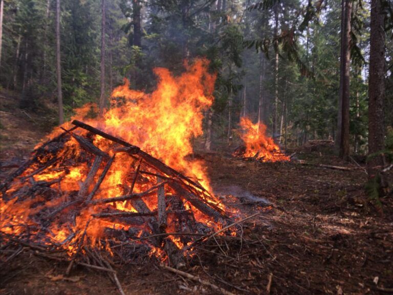 More wildfire risk reduction projects underway in Boundary