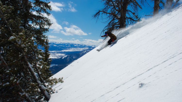 Tree well incident claims the life of a 76-year old Rossland resident at Red Mountain Ski Resort