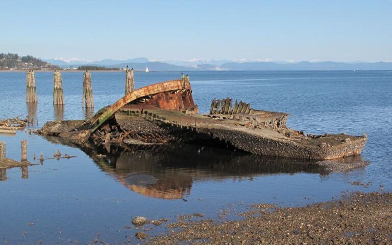 5 Decaying BC Shipwrecks You Can Visit – No Snorkel Needed