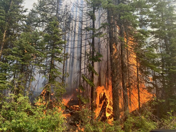 B.C. rolling out new tech to better predict wildfire activity