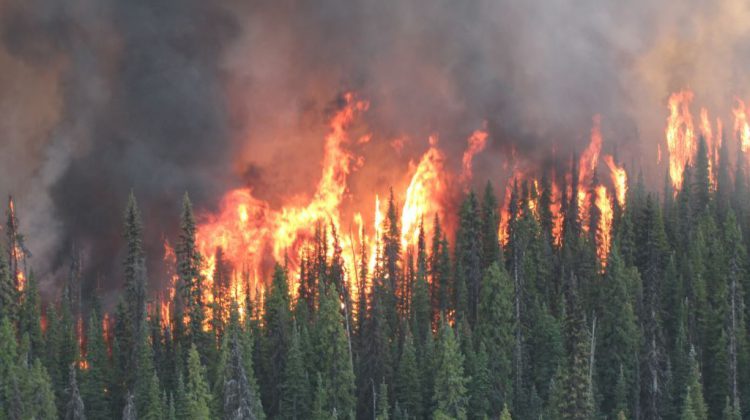 Province boosts wildfire prevention with summit