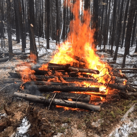 Southeast Fire Centre implementing Category 2 burn ban