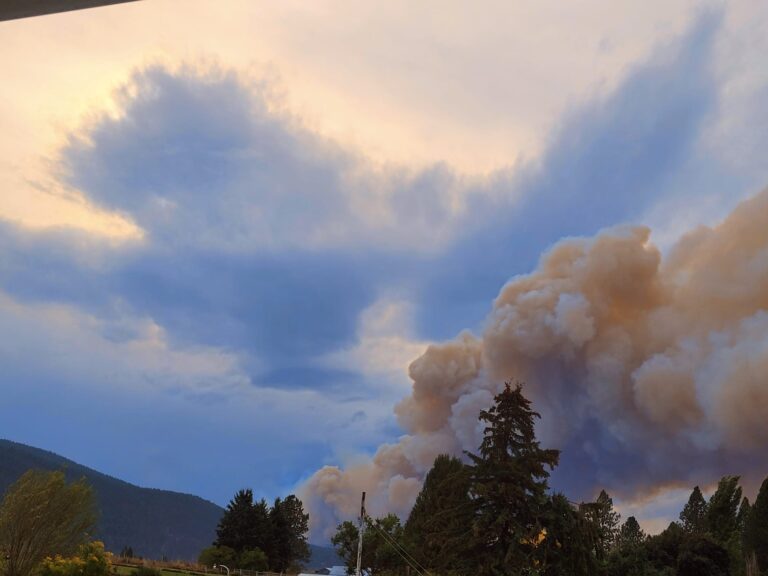 Wildfire near Grand Forks being held