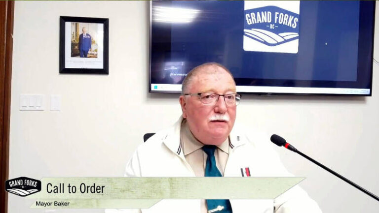 City will consider taking over animal control
